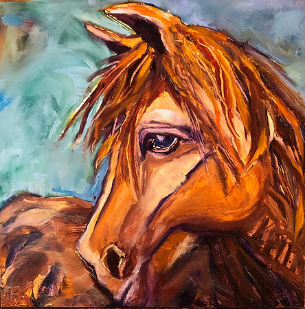 Whiskey Jack 8x8 Oil on gesso board
