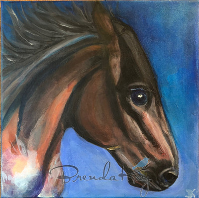 Cimarron 12x12 Acrylic on  Canvas