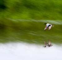 The Journey of Three