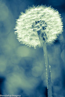 Etheral