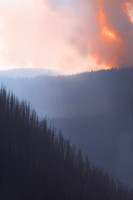 Beauty Ablaze-9