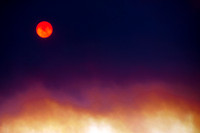 Beauty Ablaze-4