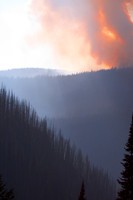 Beauty Ablaze-14