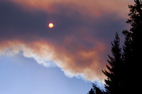 Beauty Ablaze-12