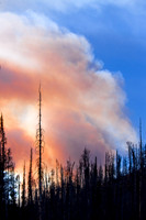 Beauty Ablaze-11
