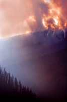 Beauty Ablaze-8