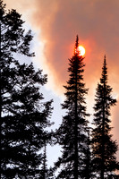 Beauty Ablaze