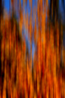 Beauty Ablaze