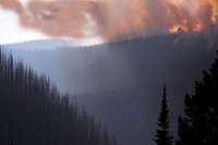 Beauty Ablaze-15