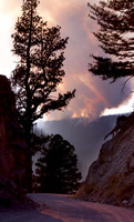 Beauty Ablaze-7