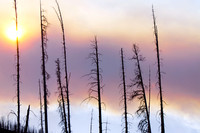 Beauty Ablaze-2