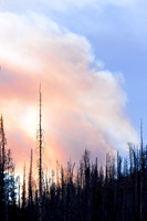 Beauty Ablaze-3