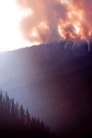 Beauty Ablaze-13