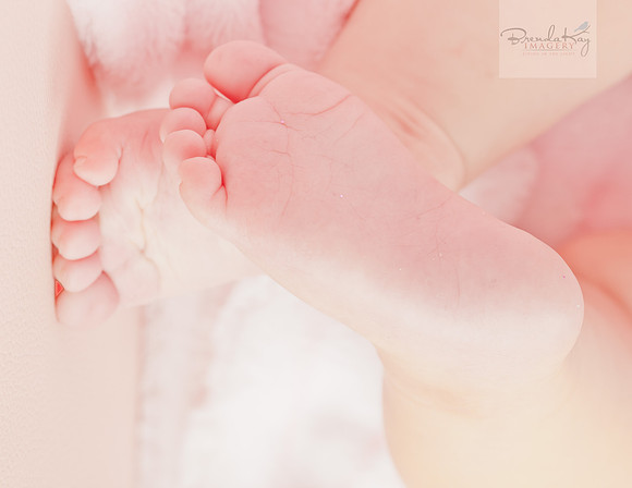 Baby Isabelle-1401