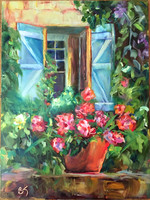 DLP Blue Shutters 9x12 NFS