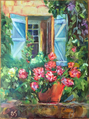 DLP Blue Shutters 9x12 NFS