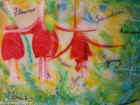 Spring Renewal