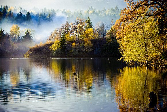 Fall