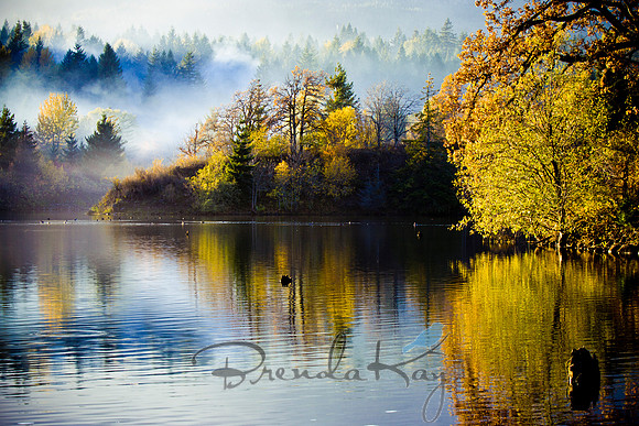 Fall