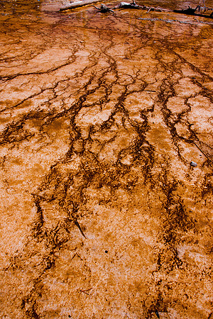 Yellowstone-2