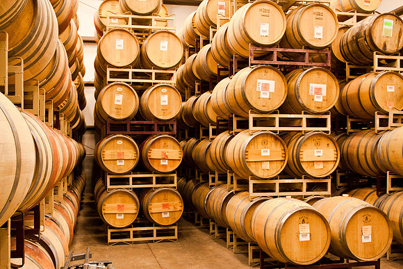 Vineyard