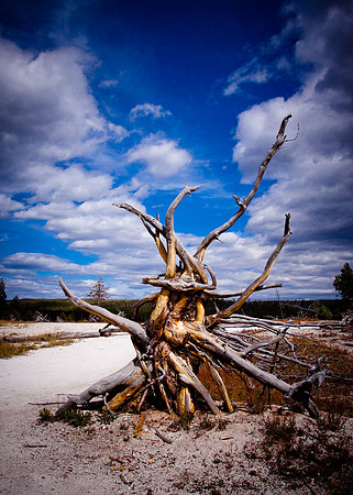 Yellowstone-11