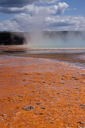 Yellowstone-6