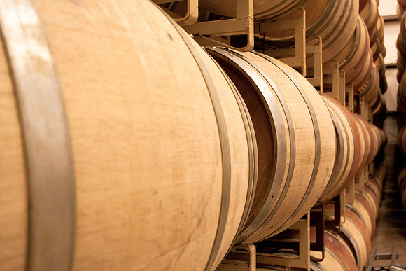 Vineyard-2